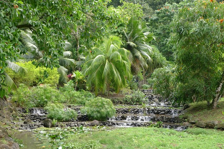 Vaipahi Garden